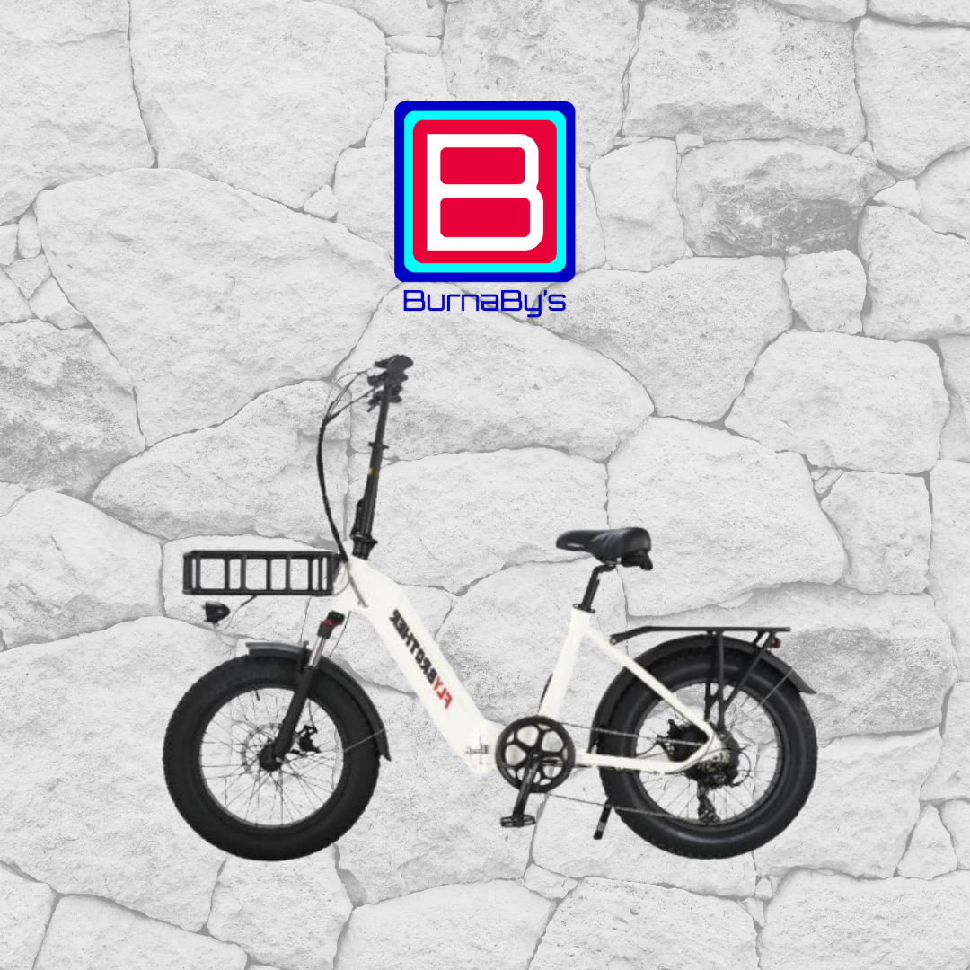 Electric Bicycle - FAT Bike FTG101