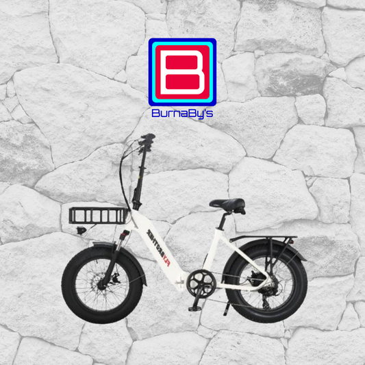 Electric Bicycle - FAT Bike FTG101
