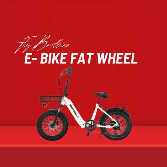Electric Bicycle - FAT Bike FTG101