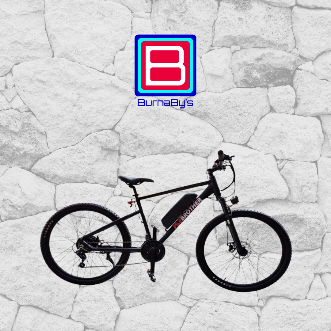 Electric Bicycle - Mountain Bike MTB301
