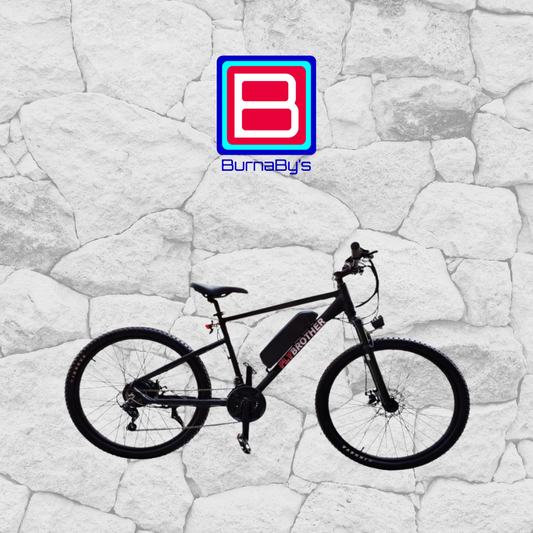 Electric Bicycle - Mountain Bike MTB301